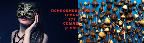 2c-b Верхний Тагил