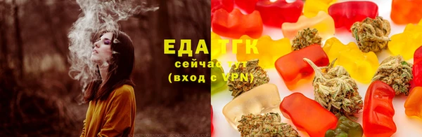 эйфоретик Няндома