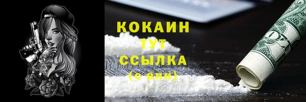 прущие грибы Осташков