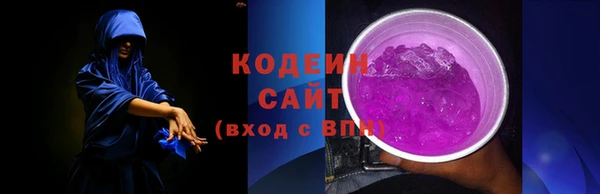 эйфоретик Няндома