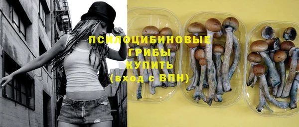 СК Остров