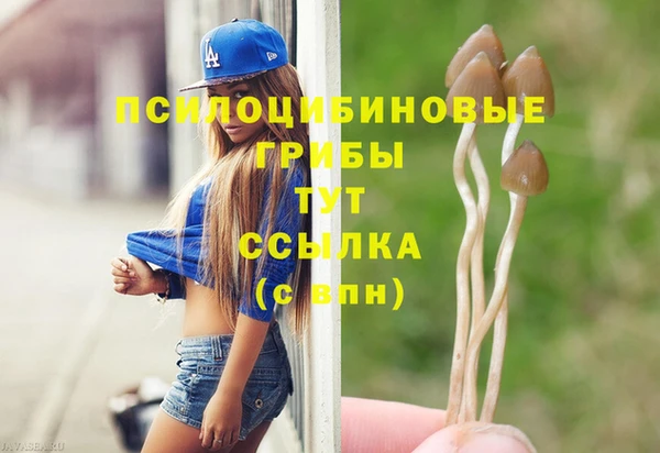СК Остров