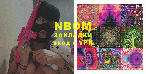 эйфоретик Няндома