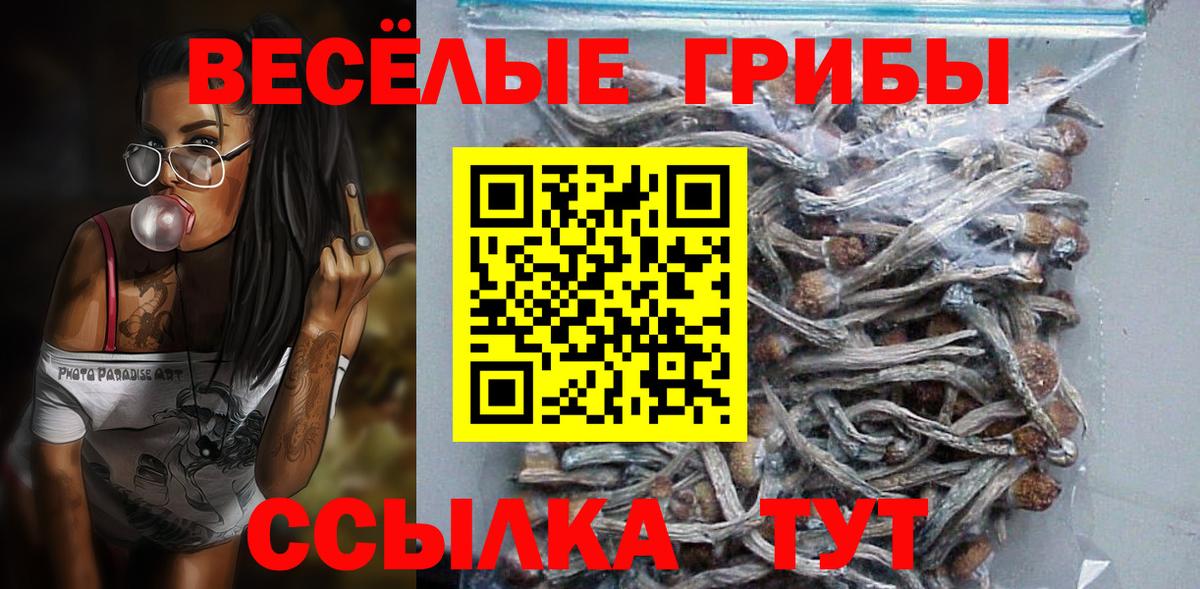 Галлюциногенные грибы MAGIC MUSHROOMS Богородск