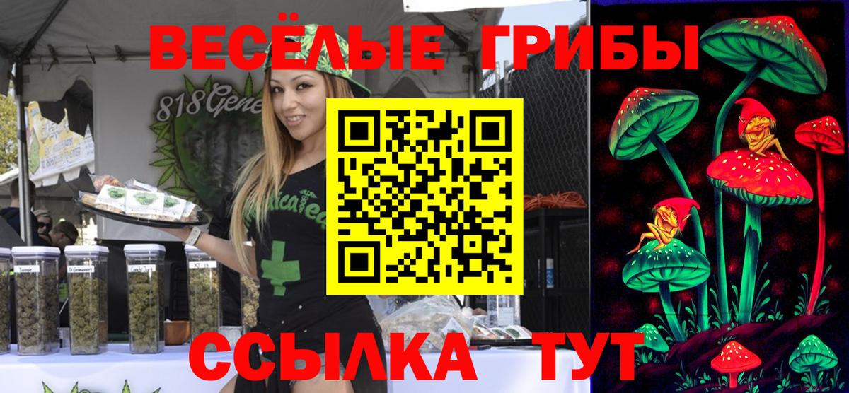 Галлюциногенные грибы MAGIC MUSHROOMS  Богородск 