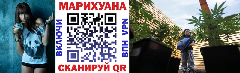 даркнет сайт Богородск Шишки марихуана OG Kush